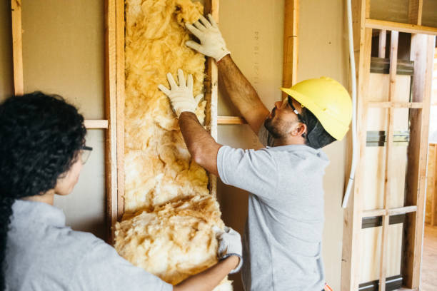 Types of Insulation We Offer in East Prairie, MO